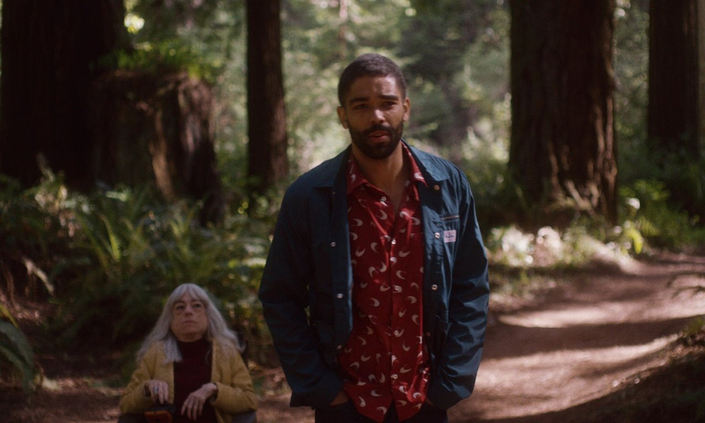 The OA (S2E2)