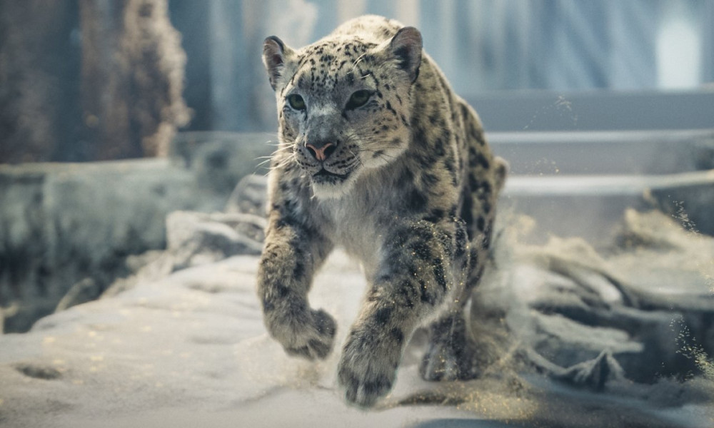 His Dark Materials: Fronteiras do Universo (S3E7)